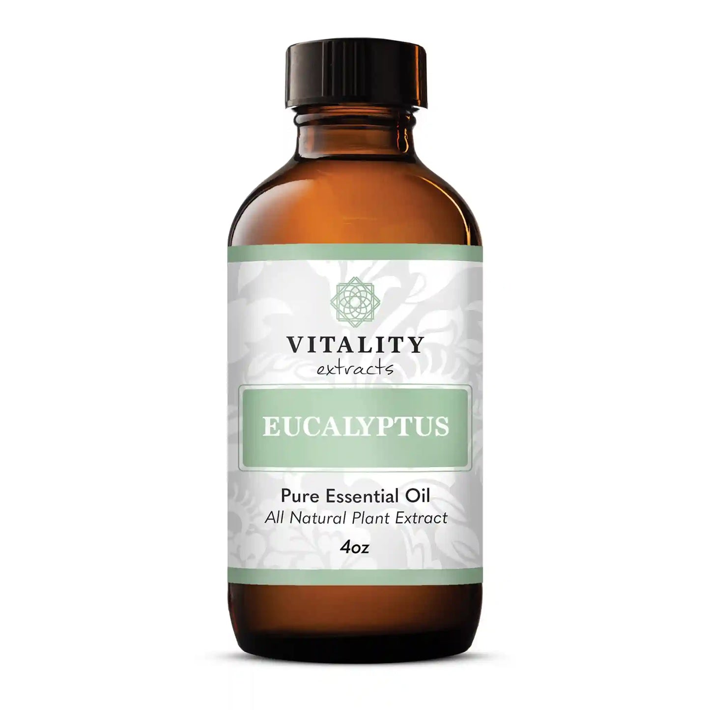 Eucalyptus