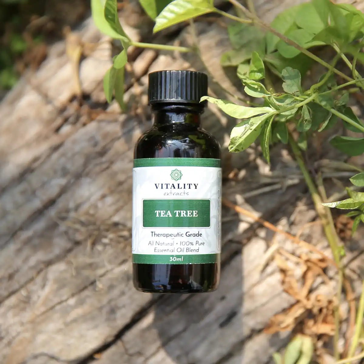 Tea Tree