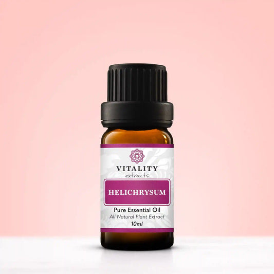 Helichrysum